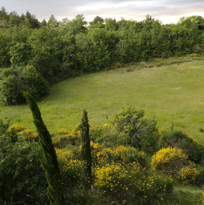 Natur
